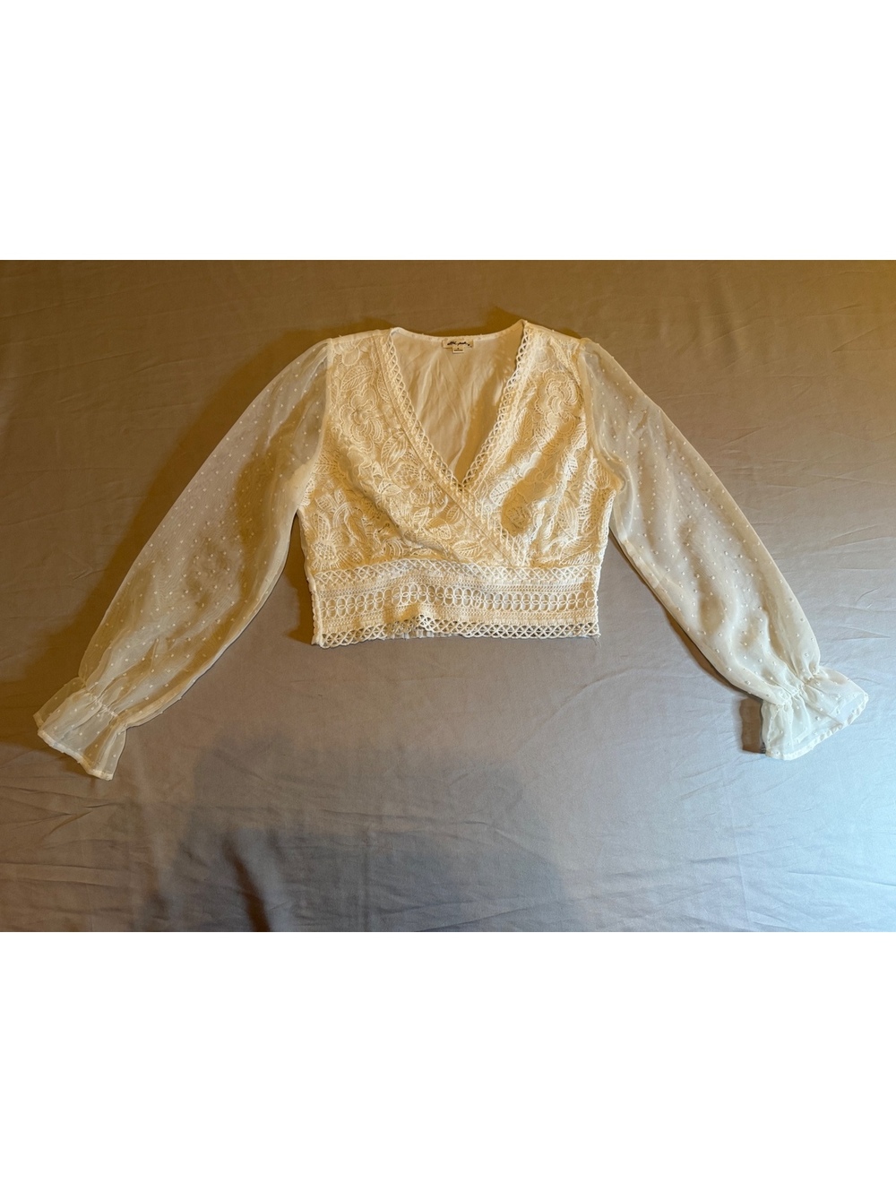 White Lace and Sheer Long Sleeve Crop Top